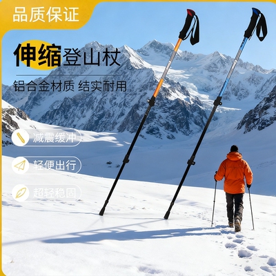 专业户外登山杖手杖超轻徒步装备