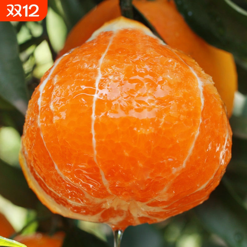 【彩箱精品】正宗四川爱媛38号果冻橙水果新鲜应当季橙子整箱现摘