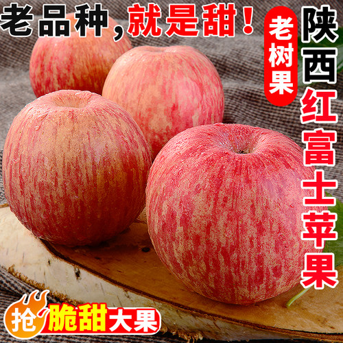 陕西红富士苹果水果应当季新鲜整箱脆甜萍果正宗产地直发孕妇包邮 - 封面