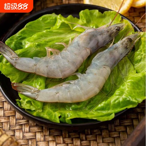 鲜活速冻大虾单冻白虾大虾生鲜盐冻鲜活冷冻大虾白对虾海鲜水产