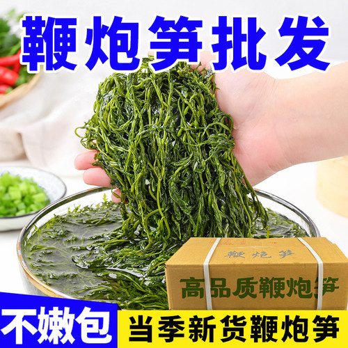 鞭炮笋海笋长寿菜凉拌菜海草藻菜火锅食材鞭泡笋盐渍马尾藻羊栖菜