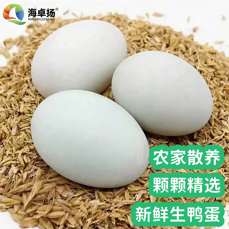 新鲜生鸭蛋60-70g个大生鸭蛋农家散养部分带泥正宗大蛋土鸭蛋