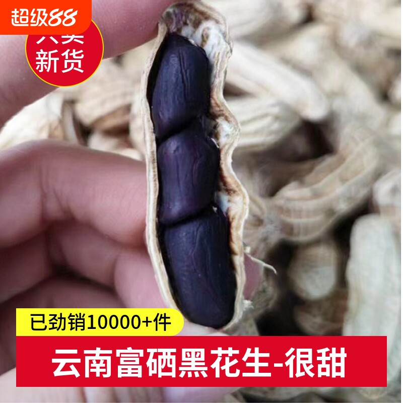 2025年云南黑皮花生带壳新鲜干花生富硒黑花生米生吃特产生晒种子