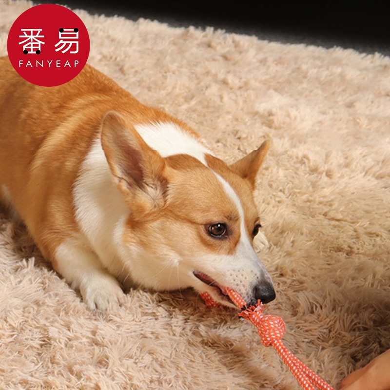 宠物玩具/绳结AD1sn0-玩具绳驯犬狗狗玩具磨牙耐咬宠物中小型犬