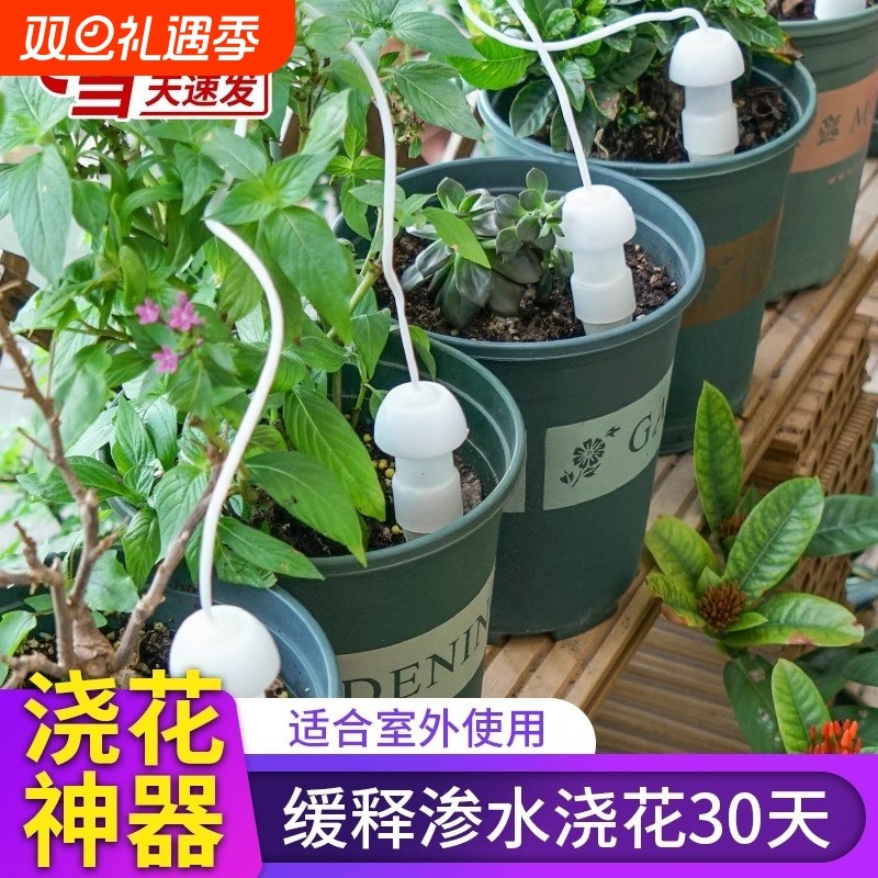 自动浇水器浇花神器种菜滴水器出差植物浇水园艺工具土壤吸水室外