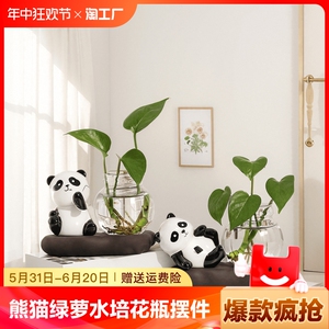 熊猫绿萝水培花瓶摆件创意办公室桌面工位小摆设插花空盆玻璃容器