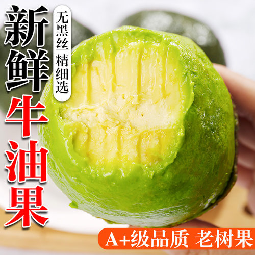 哈斯牛油果新鲜水果大果进口当季官方宝宝辅食一级鳄梨整箱包邮