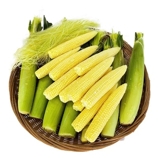 新鲜甜玉米笋迷你玉米芯手指当季鲜蔬菜嫩玉米棒水果玉米3斤包邮