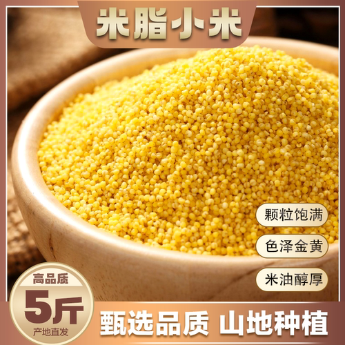 陕北黄小米新货正宗米脂小米当季小米粥五谷杂粮油小米颗粒饱满
