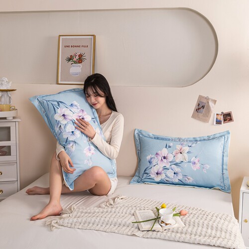 水洗凉感冰丝枕套夏季枕芯套一对装可机洗单人枕头套48x74cm双人