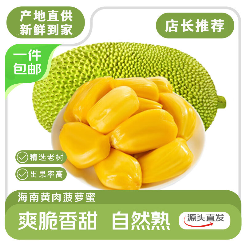 海南黄肉菠萝蜜新鲜水果波罗当季红三亚特产一整个干包老树一级果