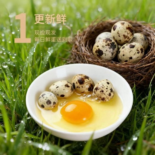 生鹌鹑蛋新鲜50枚盒装现捡农家杂粮喂养生的鸟蛋孕妇辅食