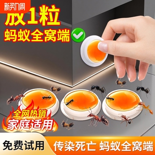 蚂蚁药家用全窝室内非无毒端强效杀除蚁灭蚁饵剂呋虫胺专用杀虫剂