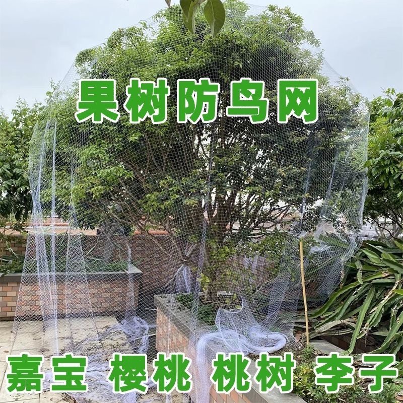 新款果树防鸟罩嘉宝果枇杷樱桃蓝莓果园尼龙防护网菜地阳台保护罩