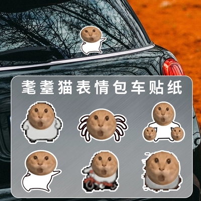 爆火耄耋哈基米猫咪蜘蛛车身贴纸
