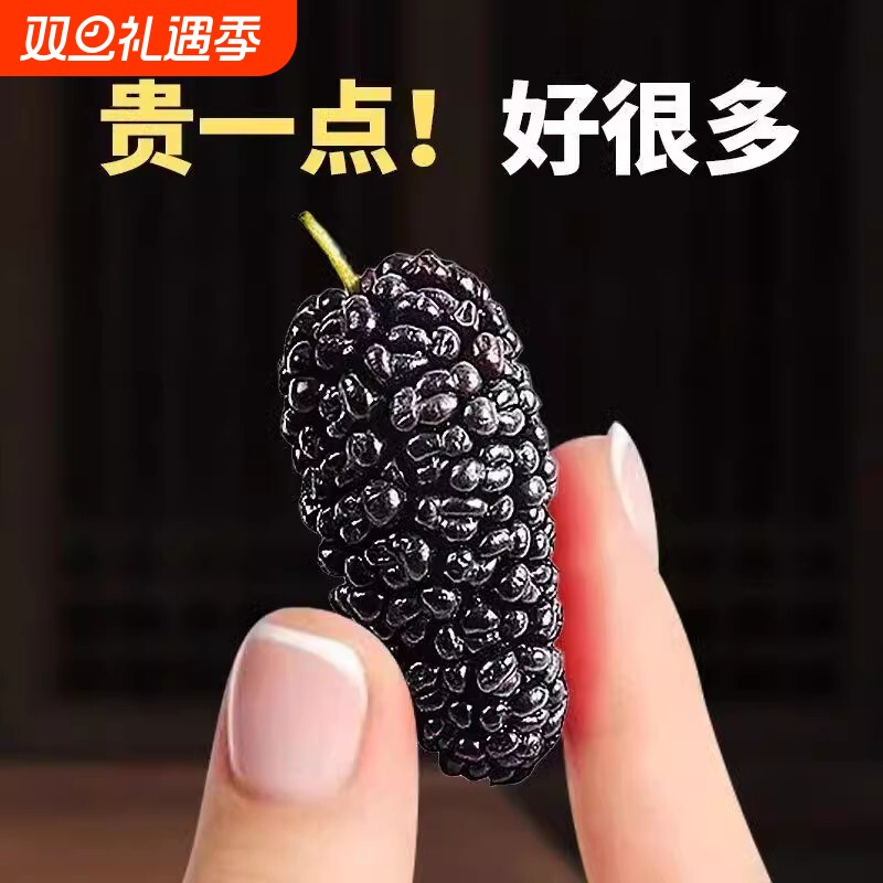 黑桑葚干无沙新疆桑椹大颗粒泡水泡茶果干新货头茬泡水泡茶新鲜