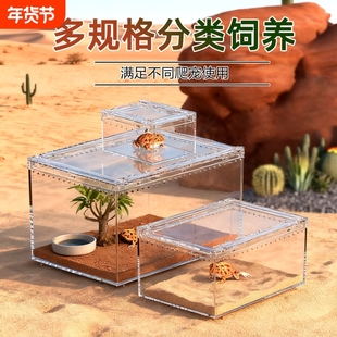 角蛙高透爬宠饲养箱亚克力睫角守宫蜥蜴蜘蛛寄居蟹沙漠造景饲养盒