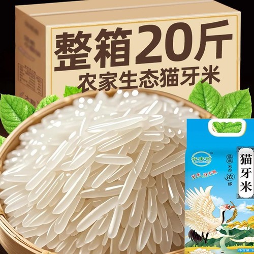 正宗猫牙米20斤晚稻丝苗米超长粒香米2024年新米大米煲仔饭蛋炒饭