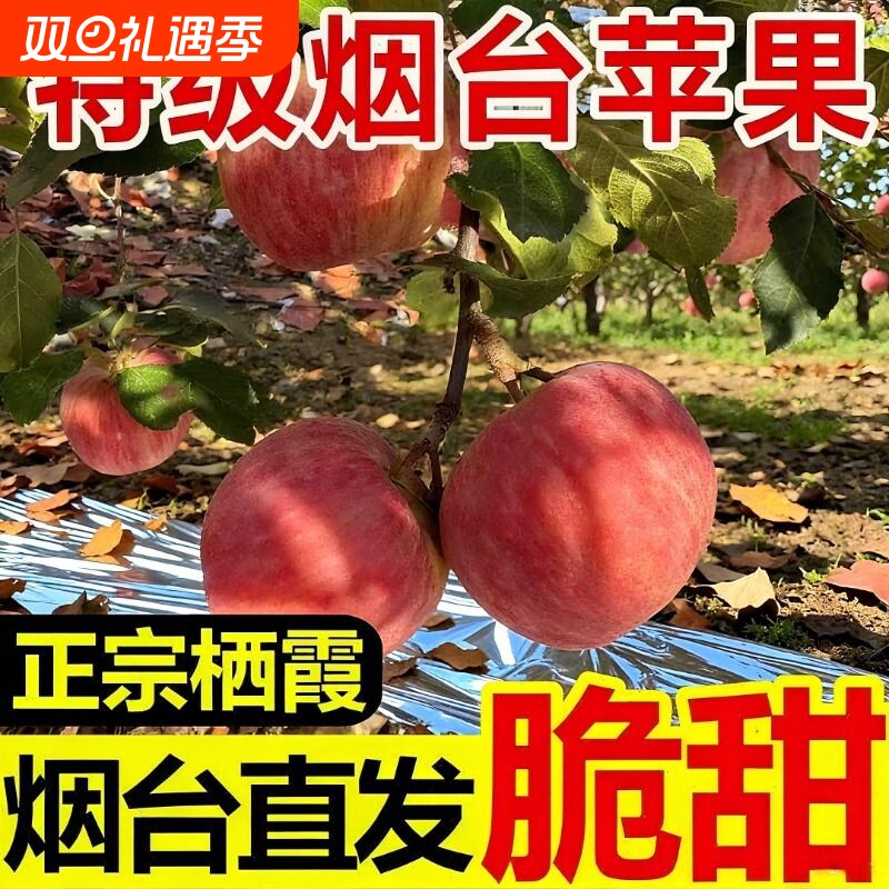 烟台红富士苹果山东栖霞水果新鲜萍果冰糖心丑平果整箱包邮脆甜