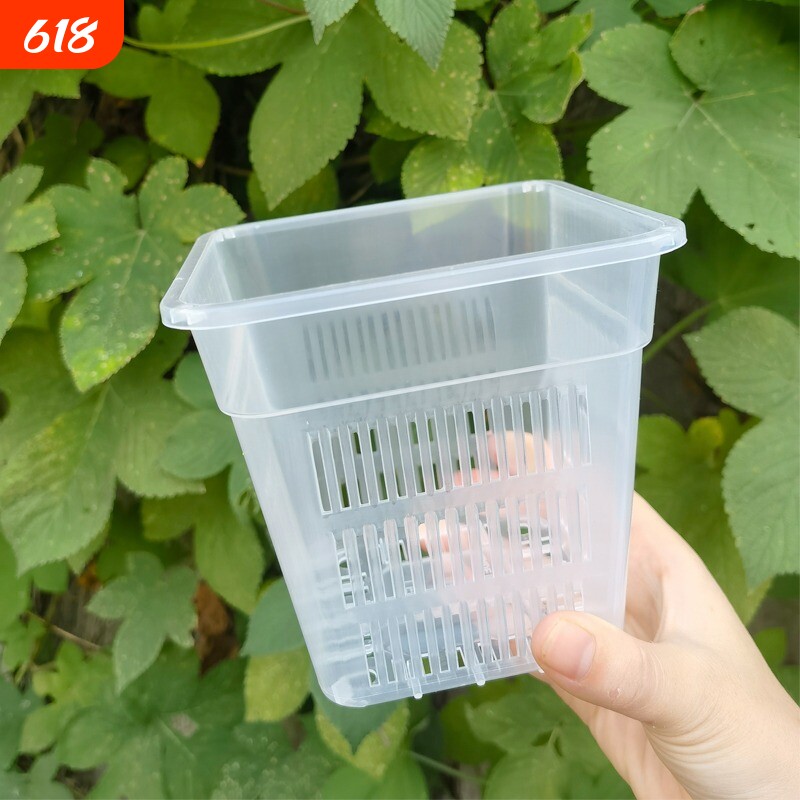 兰花盆栽方盆加厚透气塑料花盆控根盆蝴蝶兰定植篮水培桌面种花