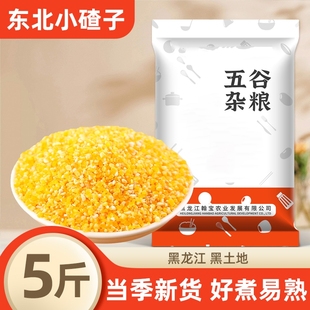 东北小碴子农家新米五谷杂粮黄玉米糁小碴子粥黄苞米碎玉米碴子粥