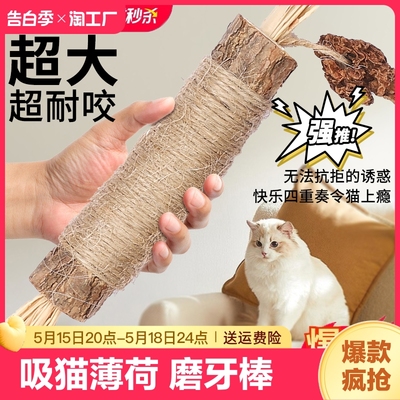 木天蓼磨牙棒猫玩具自嗨解闷耐咬猫薄荷球逗猫棒猫咪用品猫猫神器