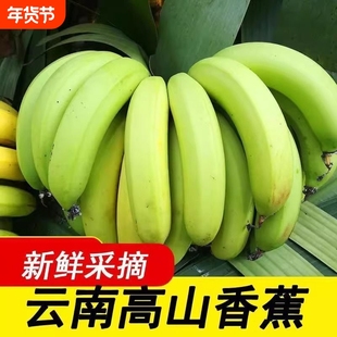 一级果大香蕉当季新鲜水果青皮香蕉现摘需催熟甜蕉甜香蕉自提热带