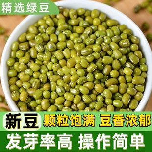 山西农家自产新货大绿豆新货小绿豆汤粥农家五谷杂粮粒粒饱满