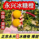 永兴冰糖橙果园现摘现发孕妇水果超甜果王冰糖橙好吃不上火 包邮