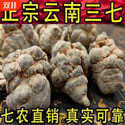 正品野生三七特级20头18头田七中药材云南文山纯三七粉官方旗舰店