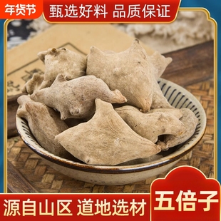 当季新货五倍子中药材正品干货无硫五倍子生角倍中草药可配蛇床子