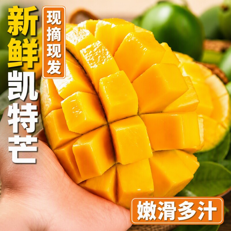 果园直发正宗四川攀枝花凯特芒当季新鲜大青芒果整箱批发种植果肉