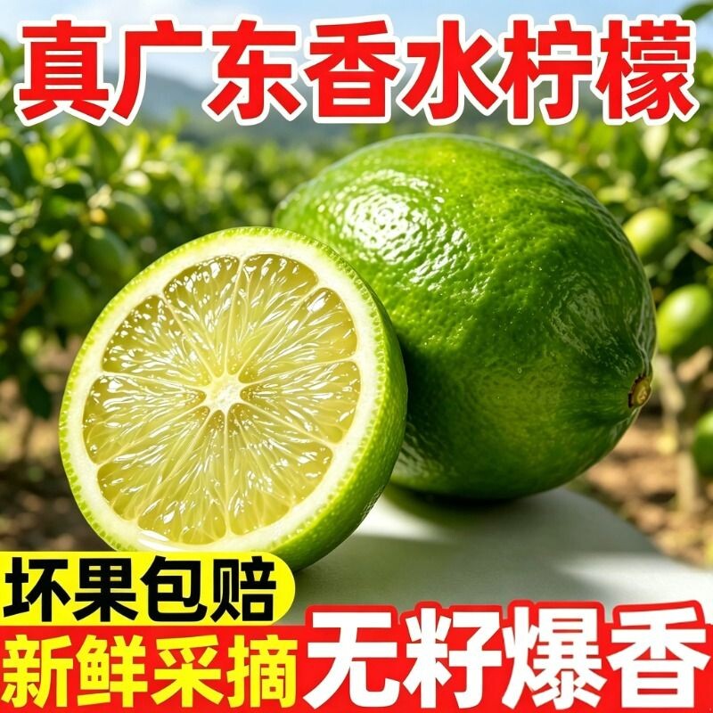 广东无籽香水青柠檬奶茶店专用一级果爆香柠檬茶新鲜采摘鲜果当季