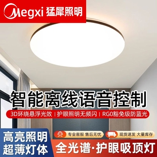 吸顶灯LED新款 客厅灯高端简约现代银边黑边圆形全屋灯具主卧室
