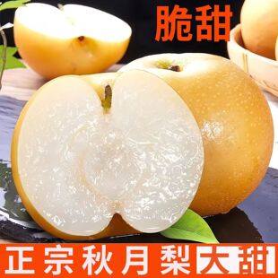 水果 山东秋月梨冰糖梨当季