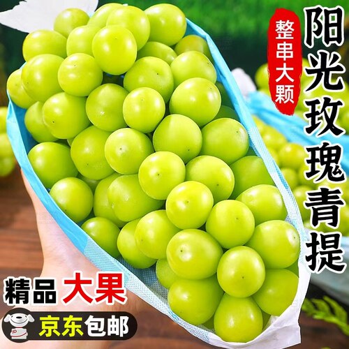 云南阳光玫瑰葡萄新鲜水果正宗当季晴王提子青提无籽精品大果无核