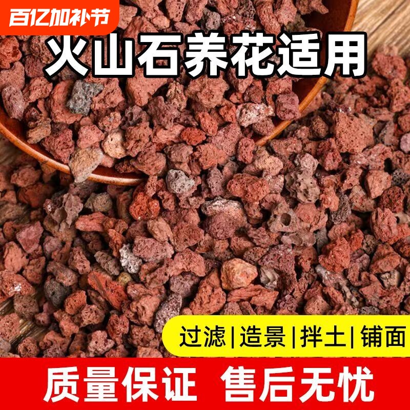 精筛天然火山石铺面兰花专用拌土火山岩颗粒高温灭菌多肉专用土