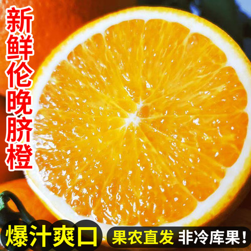 秭归伦晚脐橙子湖北手剥橙当季整箱甜新鲜橙子水果榨汁橙现摘鲜果