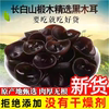 正宗东北黑木耳干货长白山特产椴木秋耳肉厚无根非野生小碗耳商用