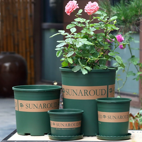 Flowerpot 2024 Новая высококачественная пластиковая смола сочная маленькая зеленая плющ большой галлон горшок третьего поколения проста проста