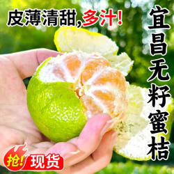 宜昌蜜桔新鲜水果3/5/9斤早熟橘子青皮蜜橘应季无籽桔子整箱包邮