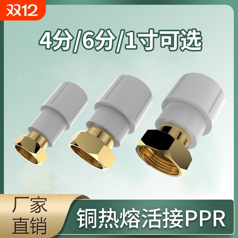 铜前置过滤器活接头热熔1寸25PPR6分4分铜热水器20活接软管不锈钢