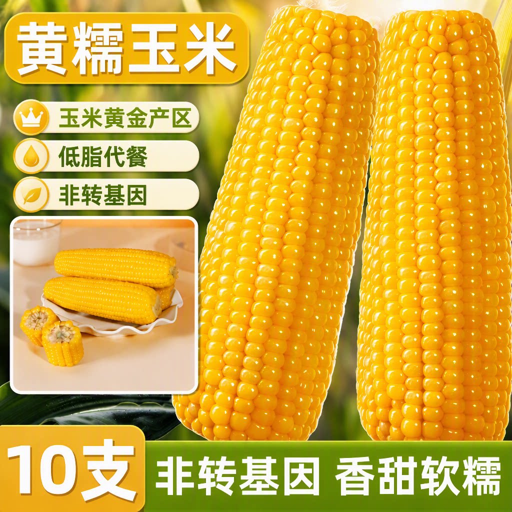 馋乡玉东北黄糯玉米非转基因黑龙江新鲜糯玉米粗粮真空装粗粮代餐