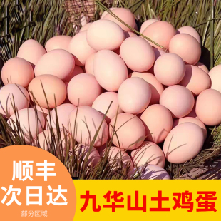 九华山鸡蛋顺丰包邮66枚正宗农家笨鸡蛋柴鸡蛋月子新鲜配送次日