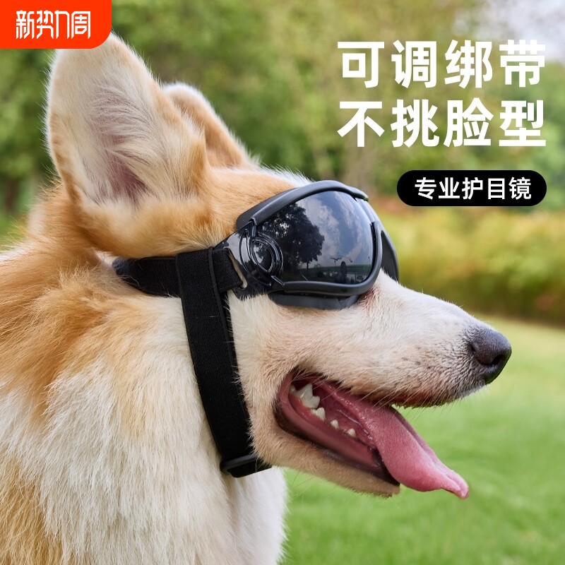 狗狗眼镜宠物墨镜护目镜太阳镜柯基比熊雪纳瑞摩托骑行专用防风镜