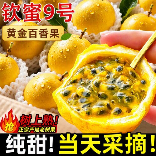 正宗钦蜜9号黄金百香果新鲜水果大果当季整箱顺丰金桔现摘纯甜