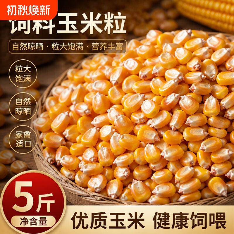 烘干玉米粒5斤10斤家禽饲料养殖东北非转基因农家当季新粮