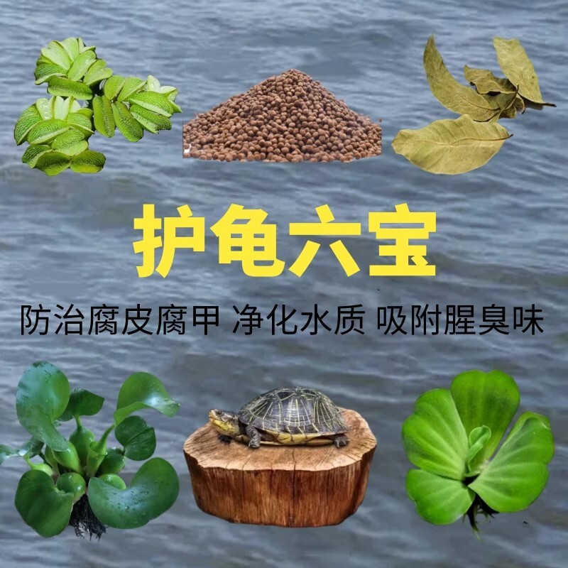 乌龟缸专用躲避窝绿植浮萍水芙蓉增氧懒人水草龙眼木造景水质海缸图片