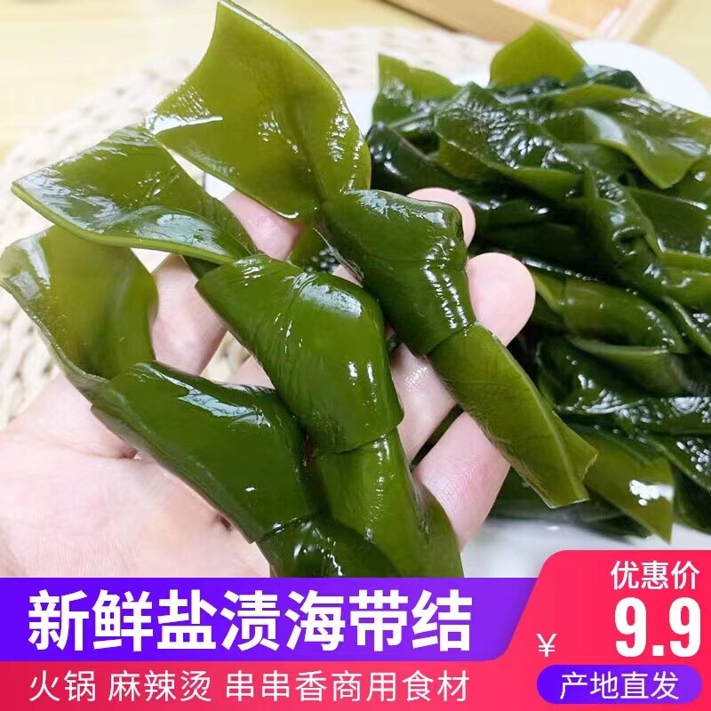 霞浦新鲜盐渍海带结半成品商用批发关东煮食材昆布扣火锅串串凉拌