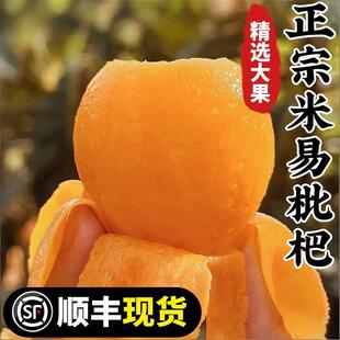 【顺丰包邮】当季新鲜米易枇杷四川攀枝花五星应季水果时令整箱